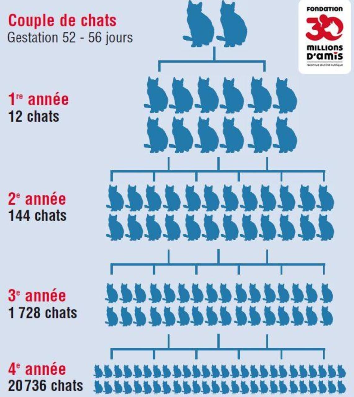 Nos actions  ecoleduchatclichy