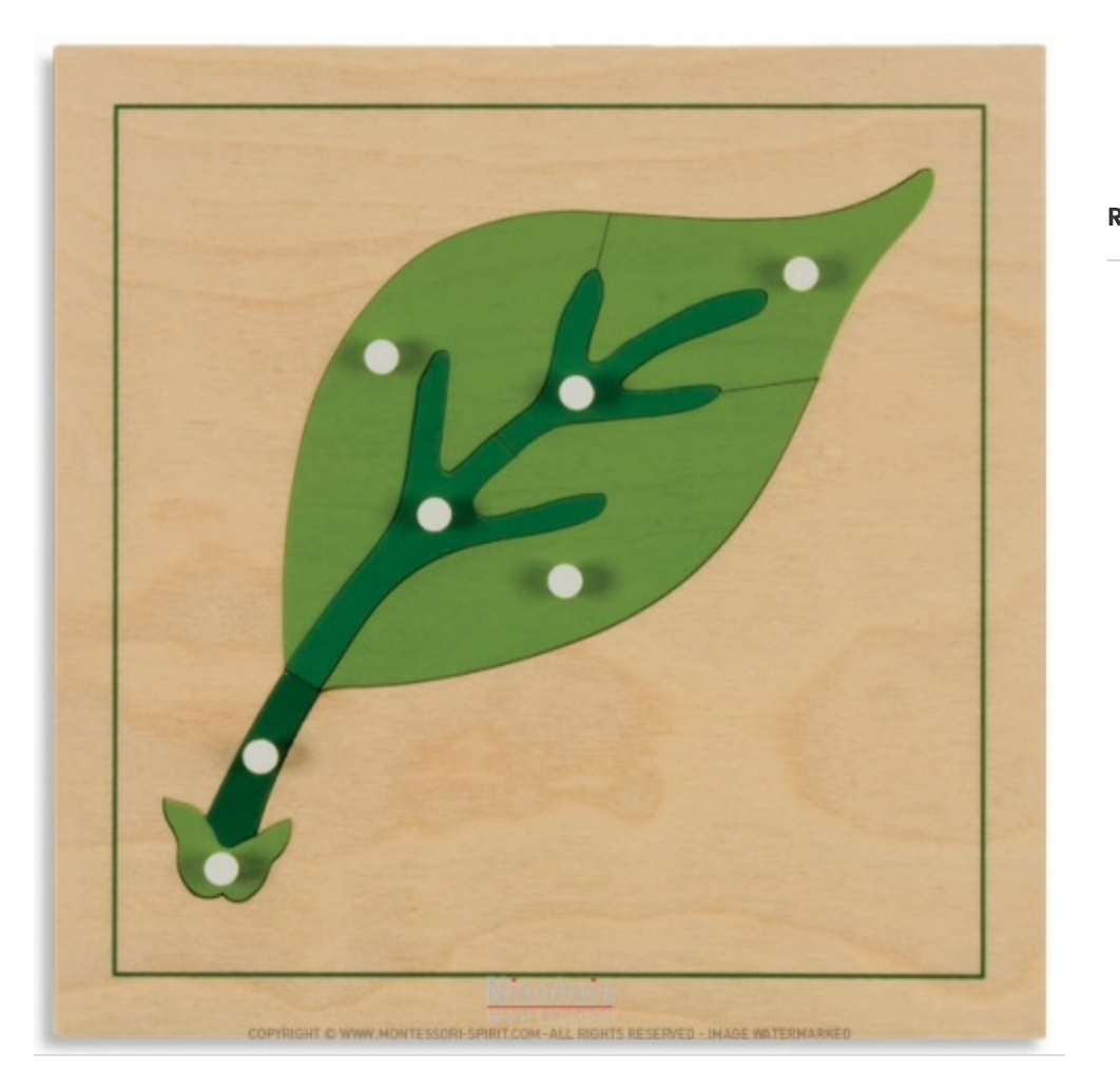 Boite de rangement deuxième jeu de cartes de botanique - Montessori Spirit