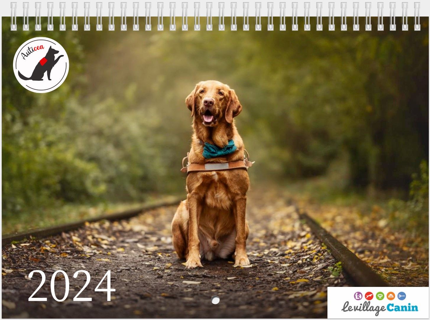 Calendrier mural 2024 Chiens