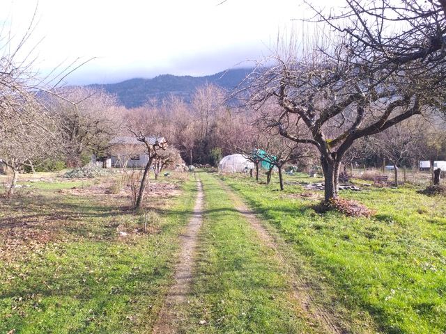 PHOTOS : Un retraité transforme son jardin en un petit coin de paradis pour  l'observation des oiseaux