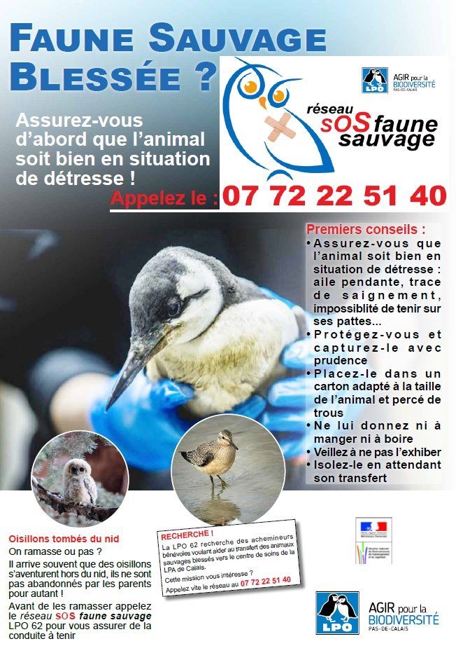 Accueil  - LPO (Ligue pour la Protection des Oiseaux) - Agir