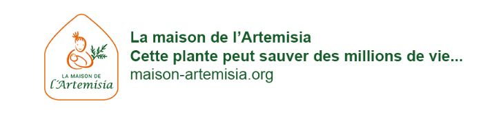 Maison-artemisia.org
